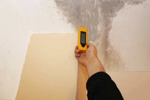 Best Indoor Air Quality Assessment  in Lexico, CA