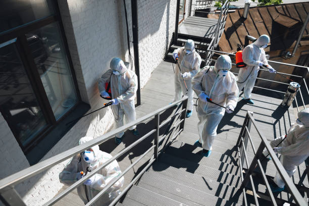 Best Biohazard Mold Removal  in Lexico, CA