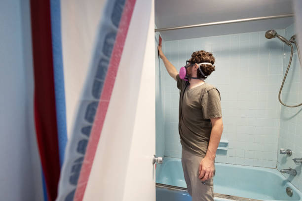 Mold Remediation for Vacation Homes in Calexico, CA