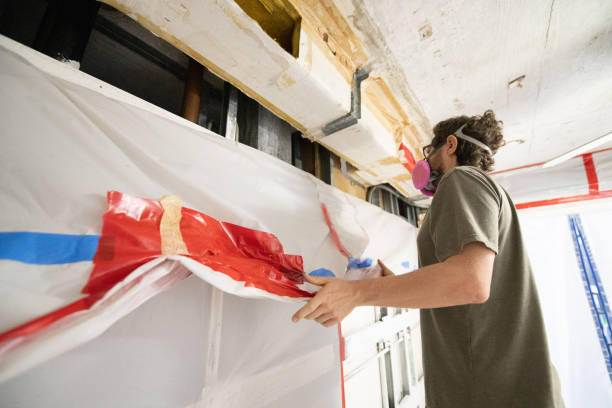 Best Attic Mold Removal  in Lexico, CA