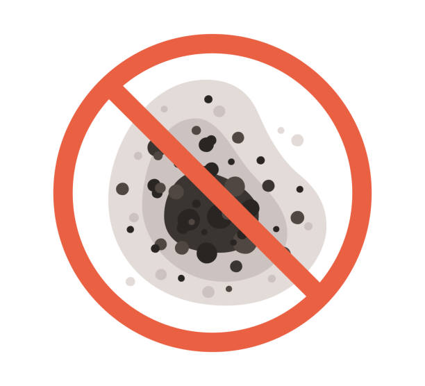 Best Airborne Mold Testing  in Lexico, CA
