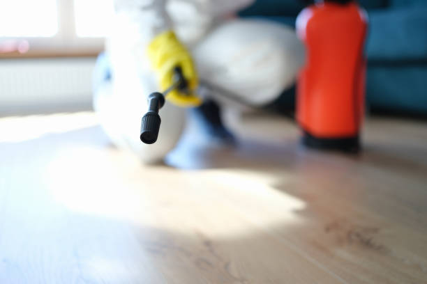 Best Dehumidification Services  in Lexico, CA