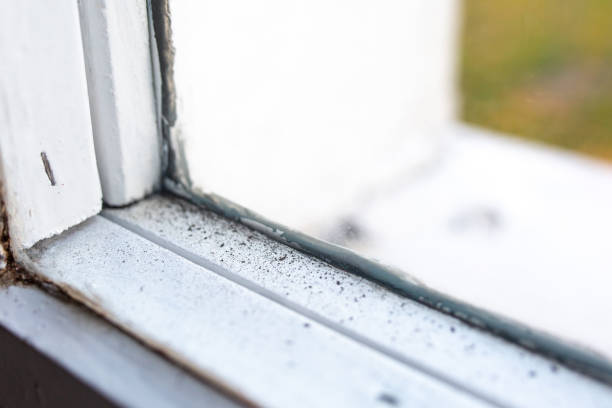 Best Post-Construction Mold Inspection  in Lexico, CA