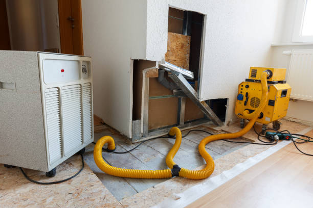 Best Commercial Mold Inspection  in Lexico, CA