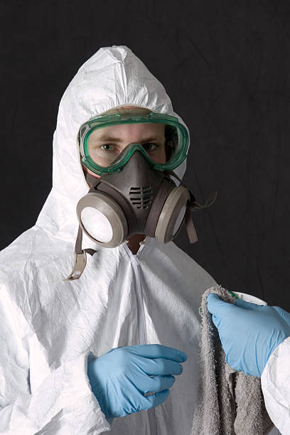 Best Basement Mold Removal  in Lexico, CA